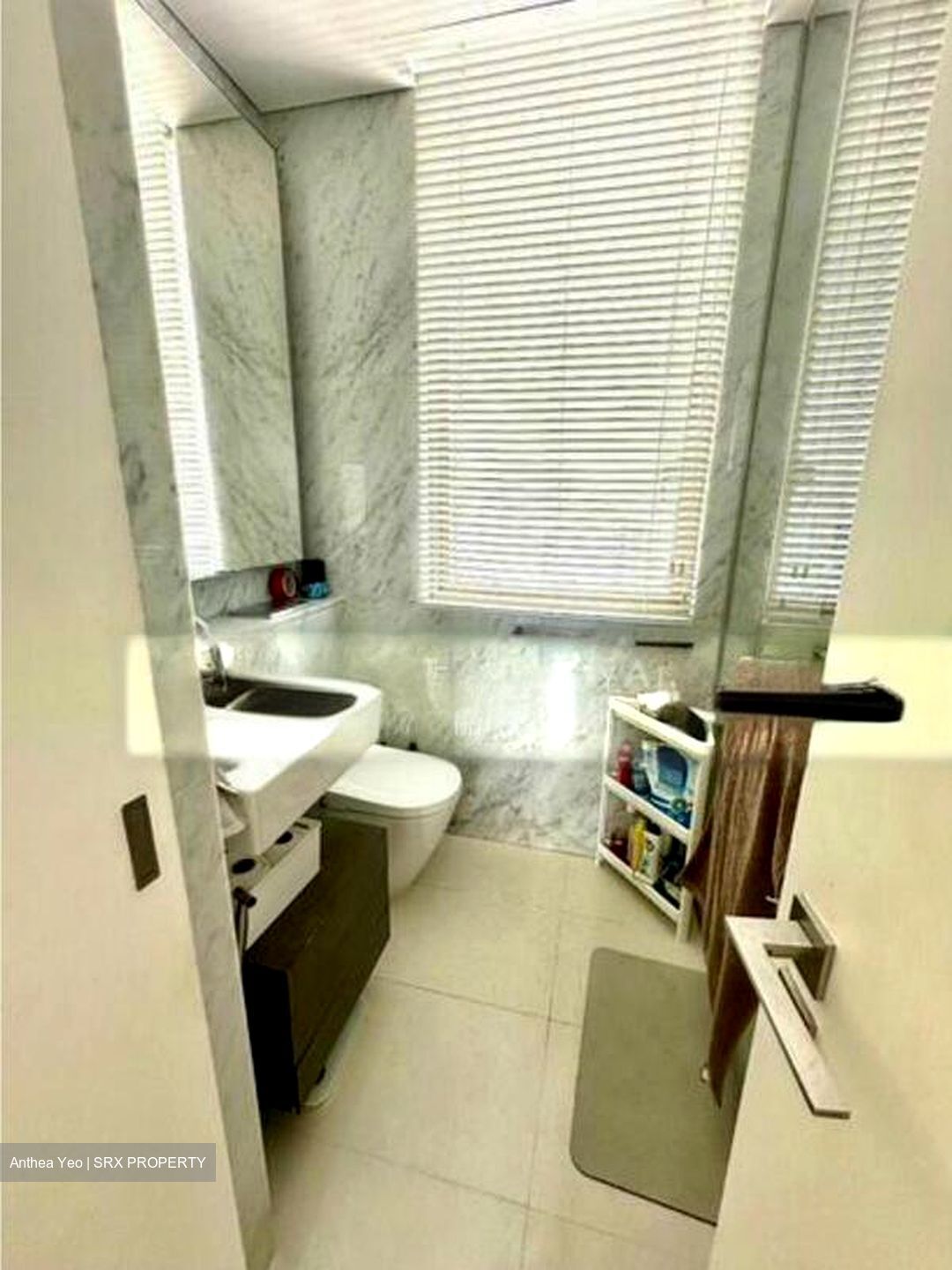 Scotts Square (D9), Apartment #591883581